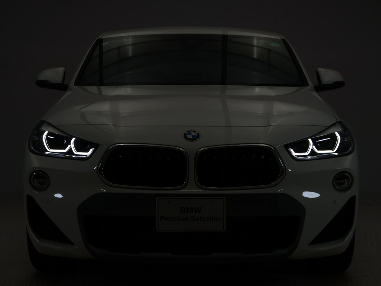 F39 X2 sDrive18i B38 1.5i SAC