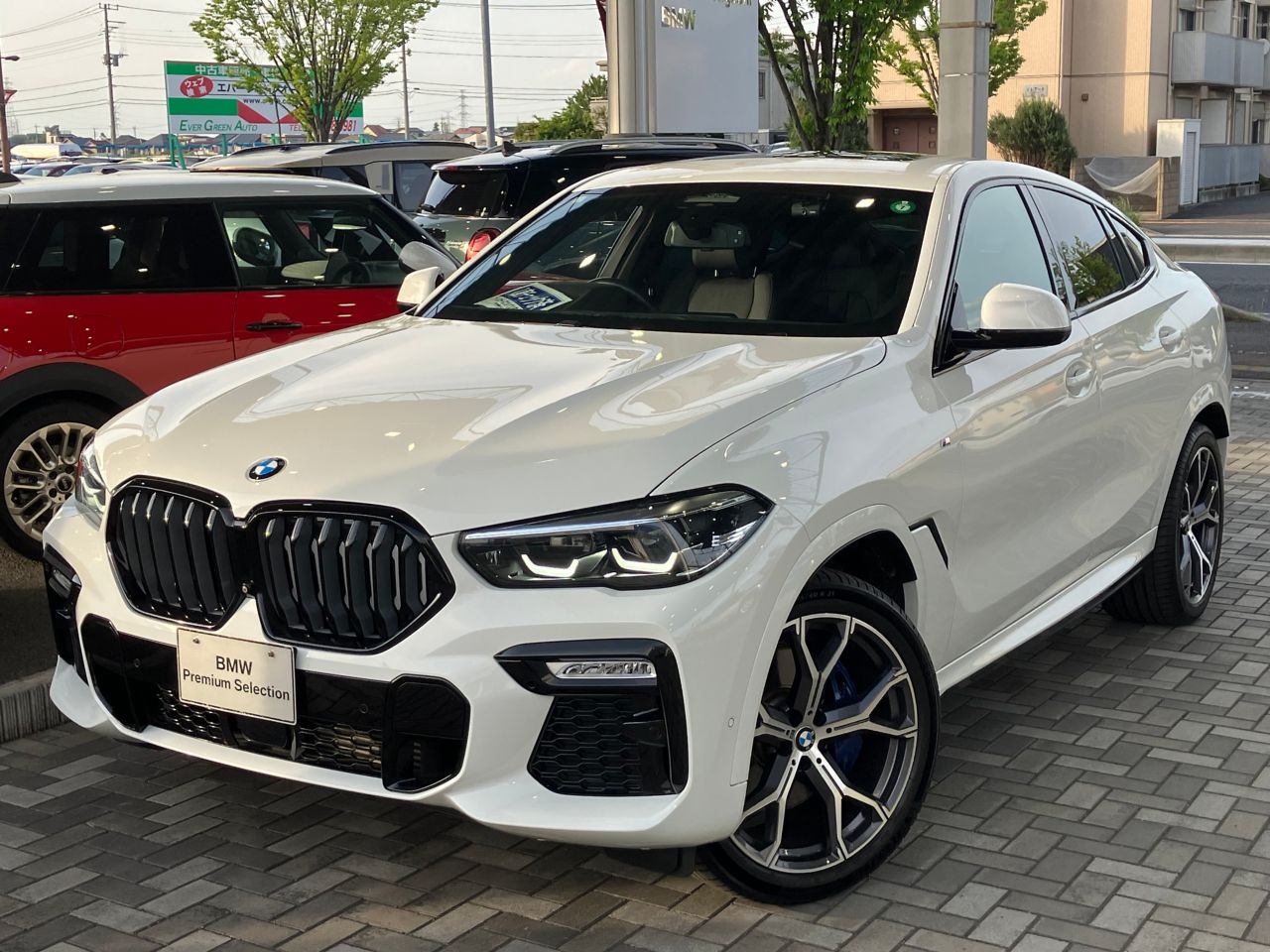 X6 xDrive35d M Sport
