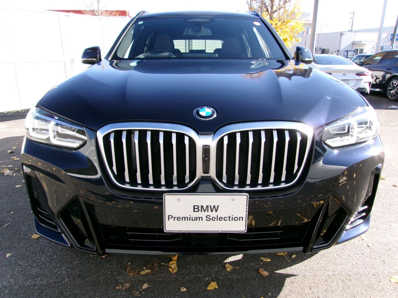 G01 X3 xDrive20d RHD ZA LCI