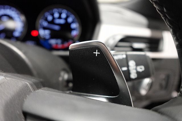 F39 X2 xDrive20i B48 2.0i SAC