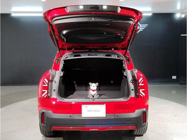 U25 MINI Countryman C