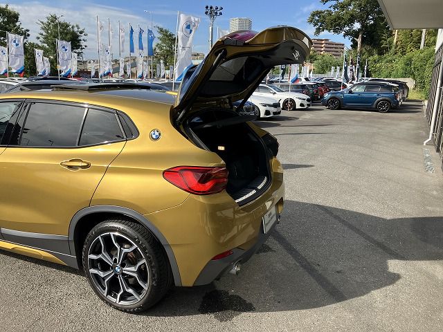 F39 X2 xDrive20i B48 2.0i SAC