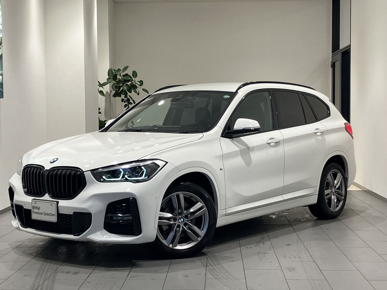 X1 xDrive 18d M Sport