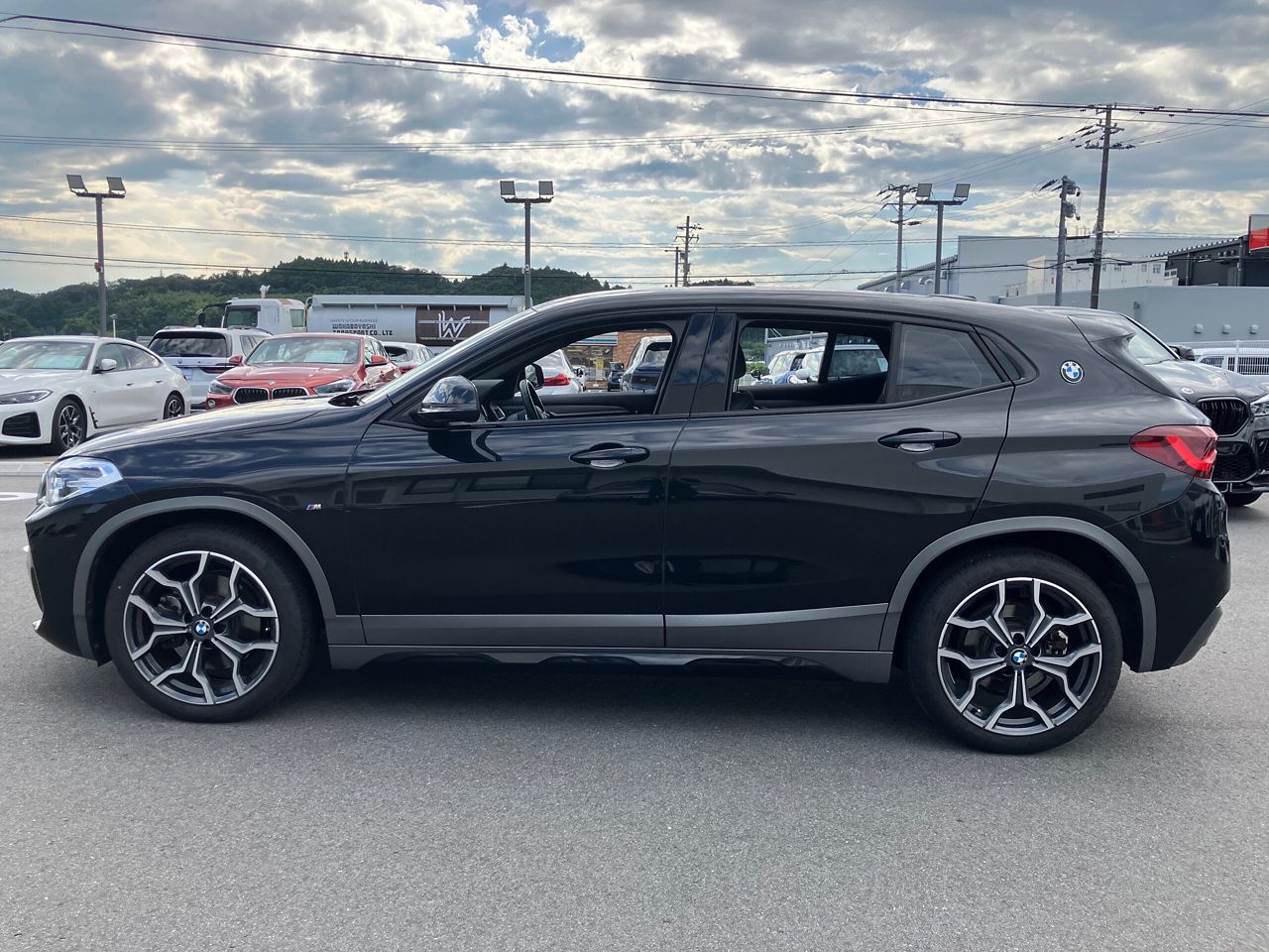 F39 X2 xDrive20d B47 2.0d