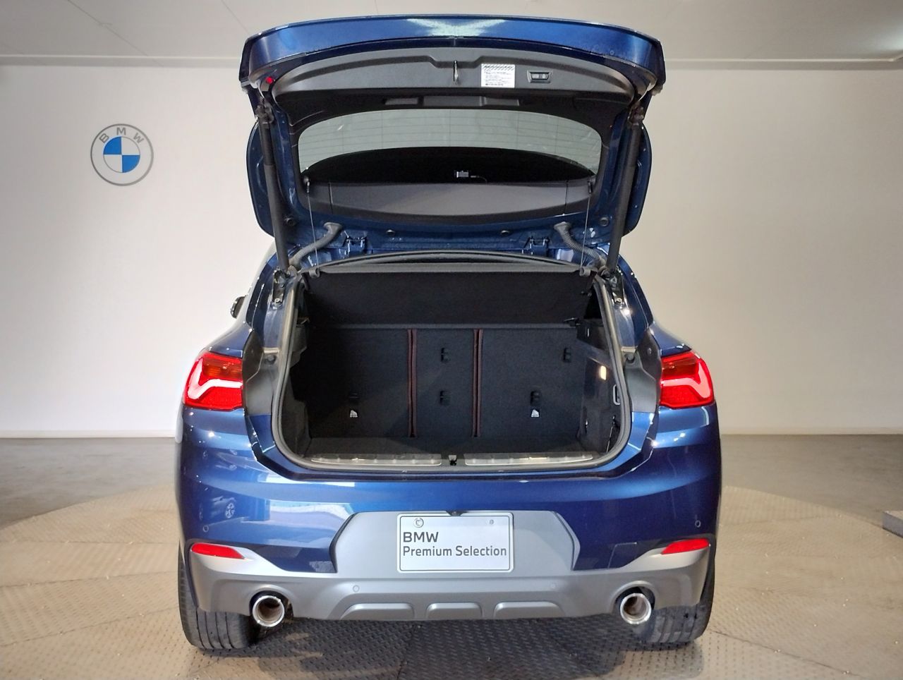 F39 X2 xDrive20i B48 2.0i SAC
