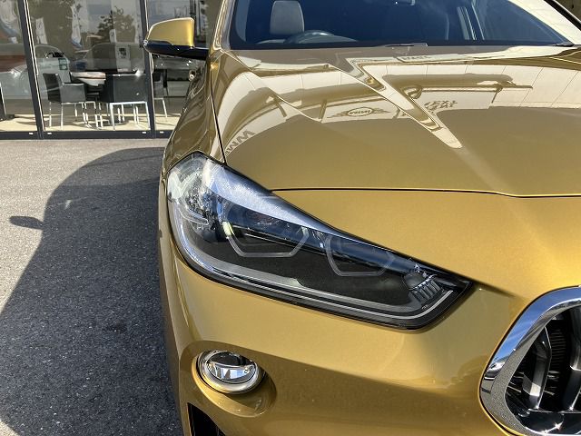 F39 X2 xDrive20i B48 2.0i SAC