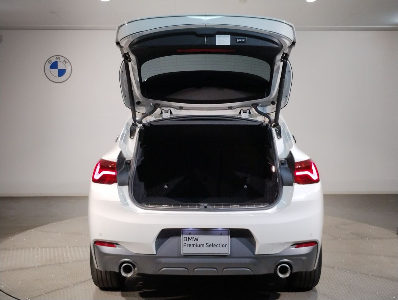 F39 X2 xDrive20d B47 2.0d