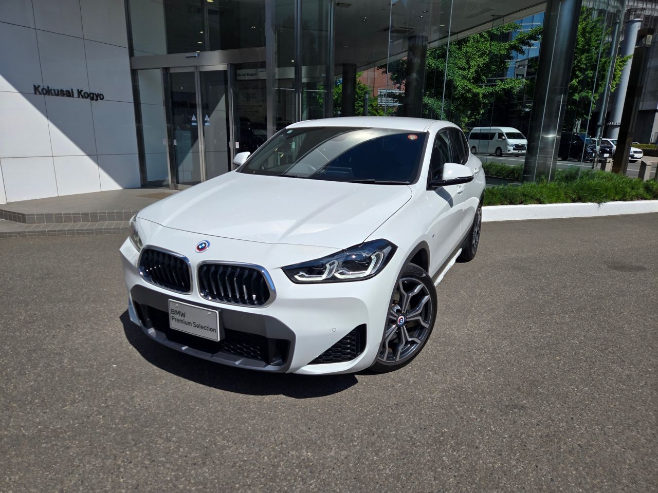 F39 X2 xDrive20d B47 2.0d