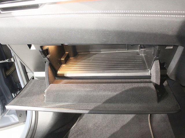 F48 X1 xDrive18d B47 2.0d LCI