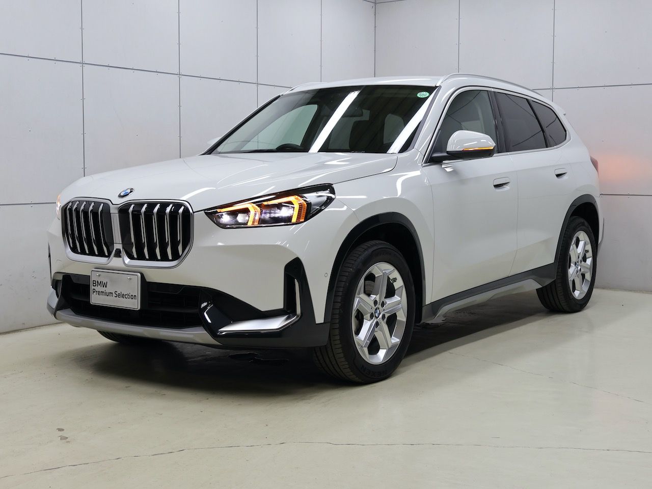 X1 xDrive20d xLine