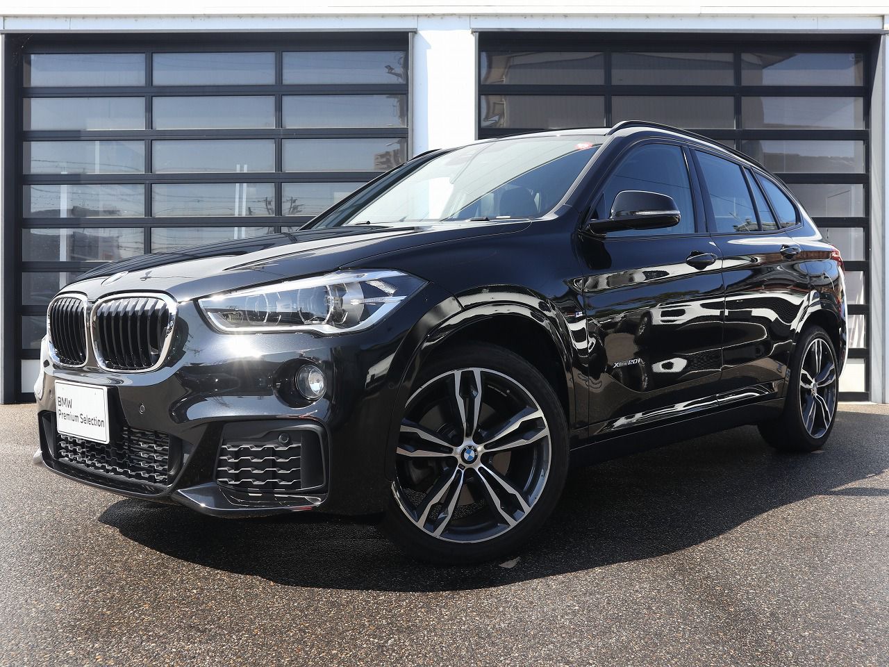 X1 xDrive20i M Sport