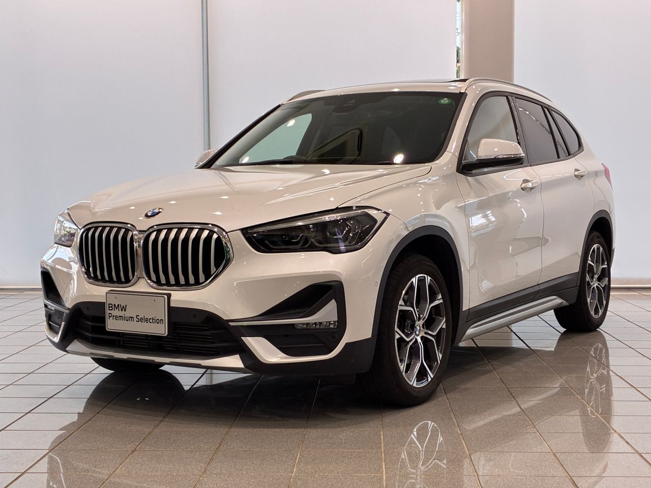 X1 xDrive 18d xLine