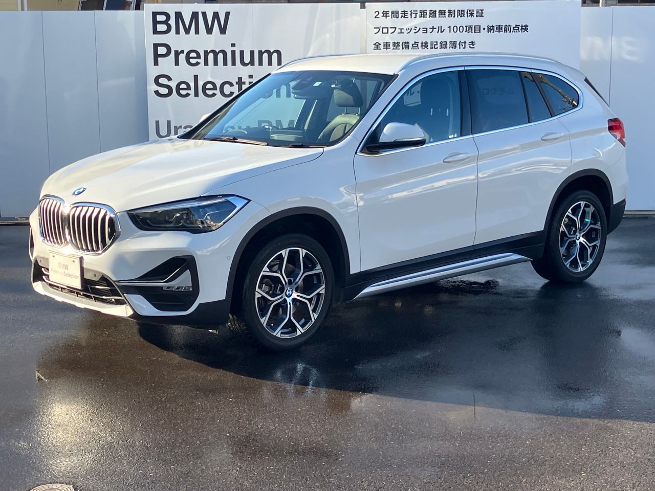 X1 xDrive 18d xLine