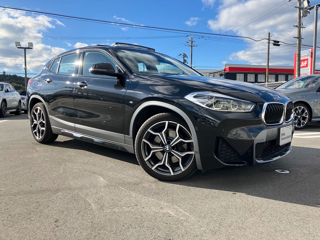 F39 X2 xDrive20d B47 2.0d