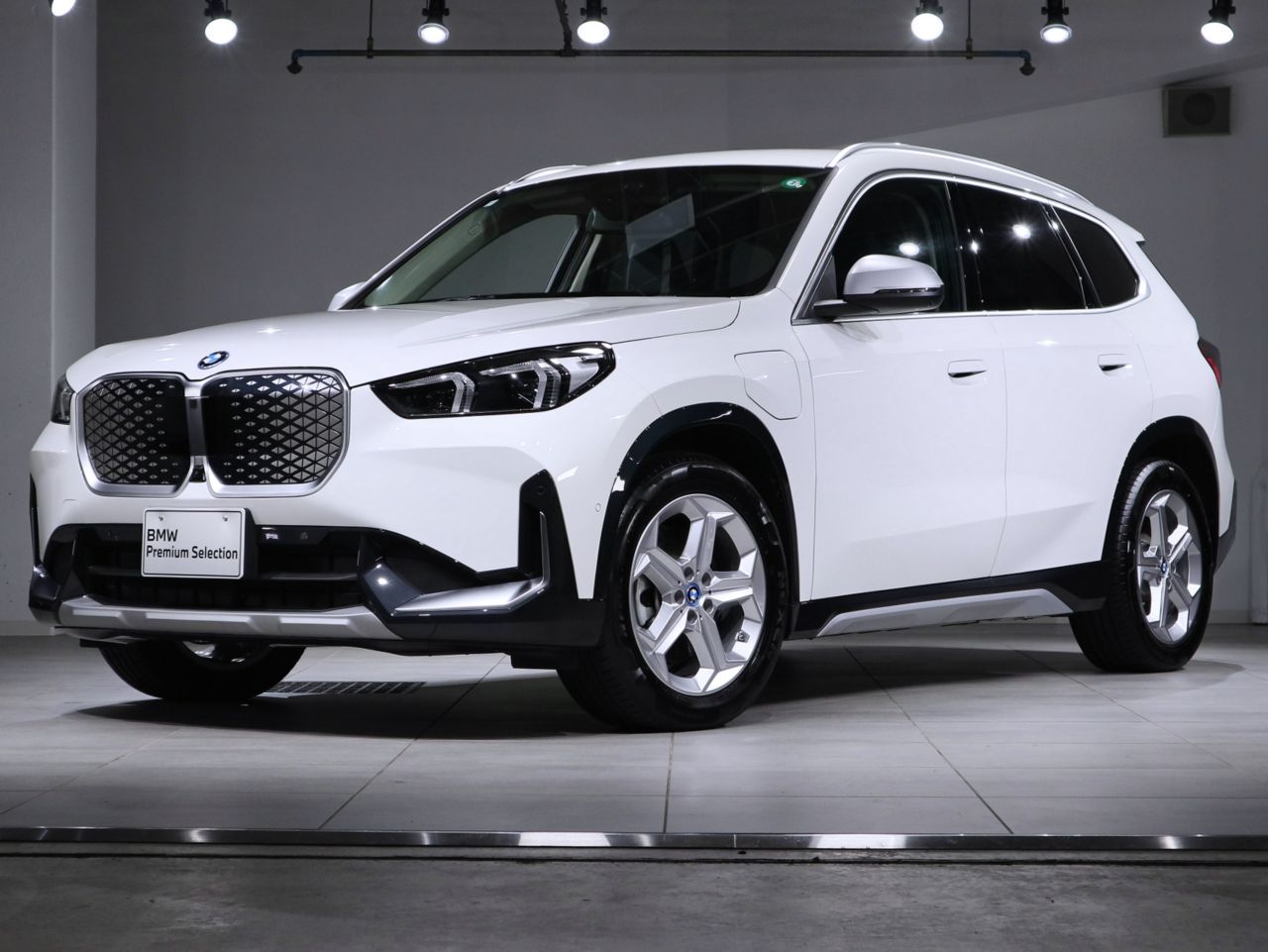 iX1 xDrive30 xLine