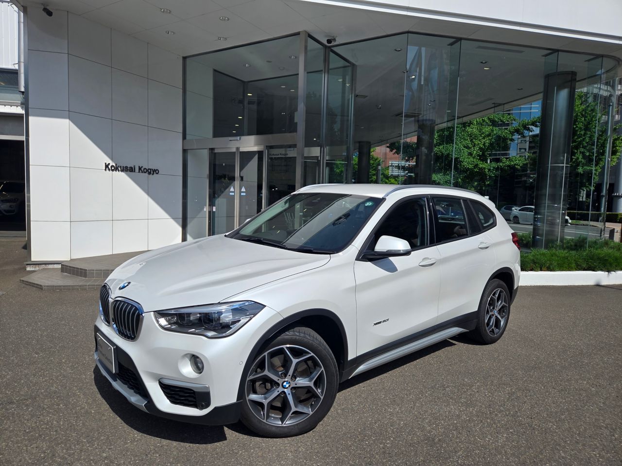 X1 xDrive20i xLine