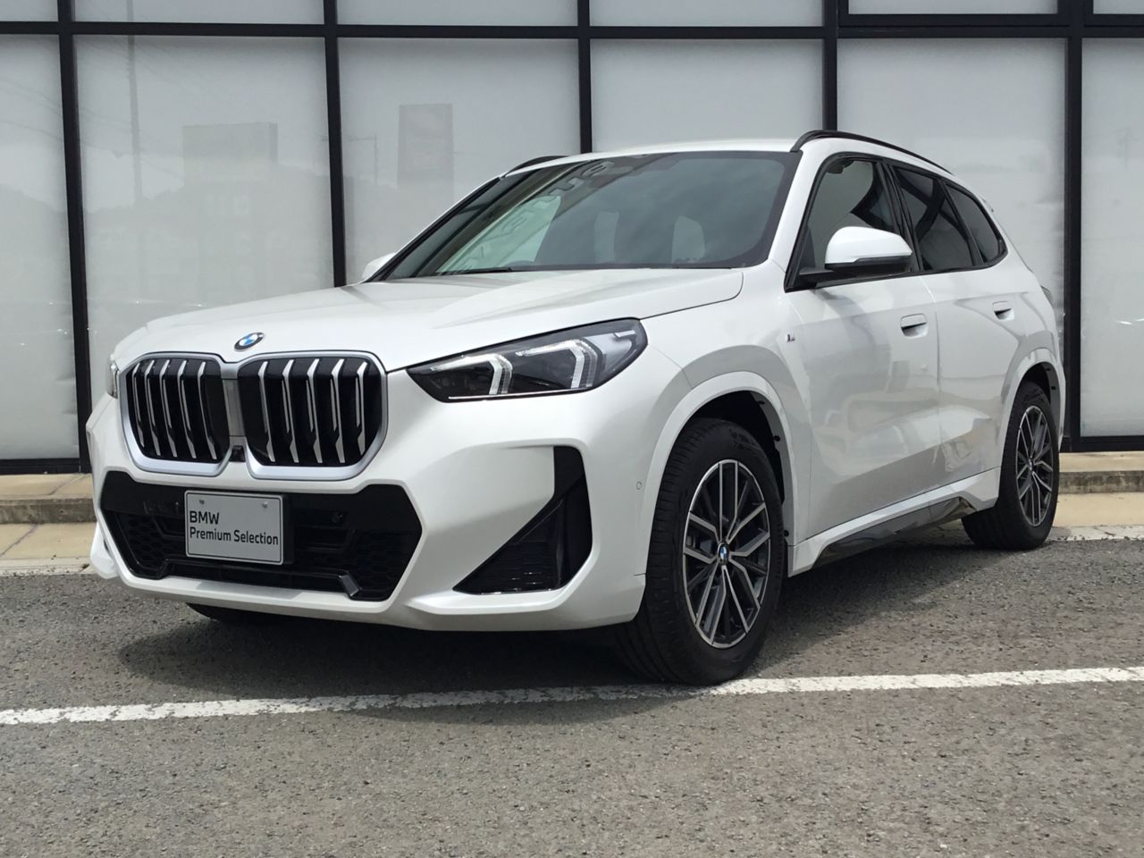 X1 xDrive20d M Sport