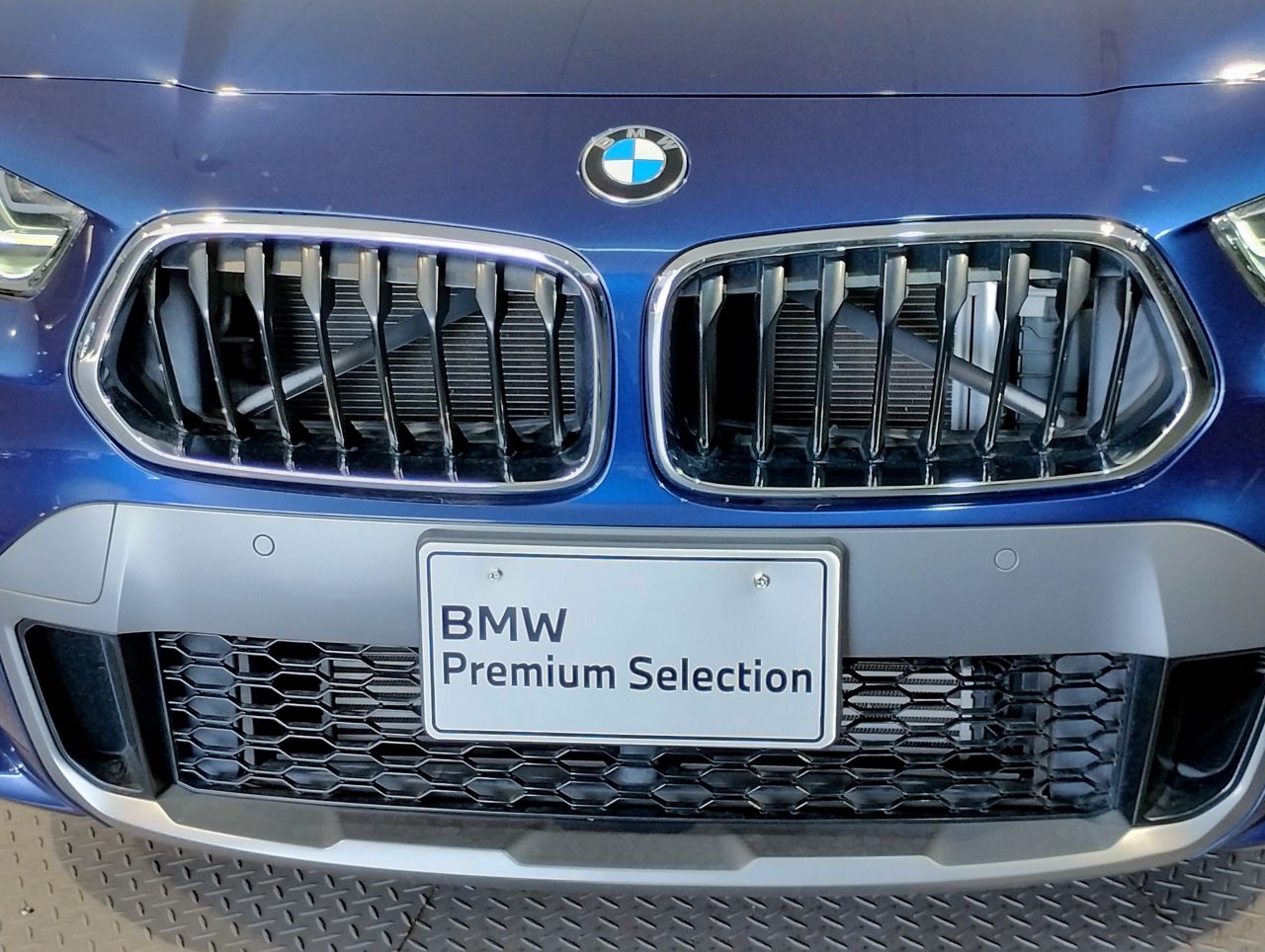 F39 X2 xDrive20i B48 2.0i SAC