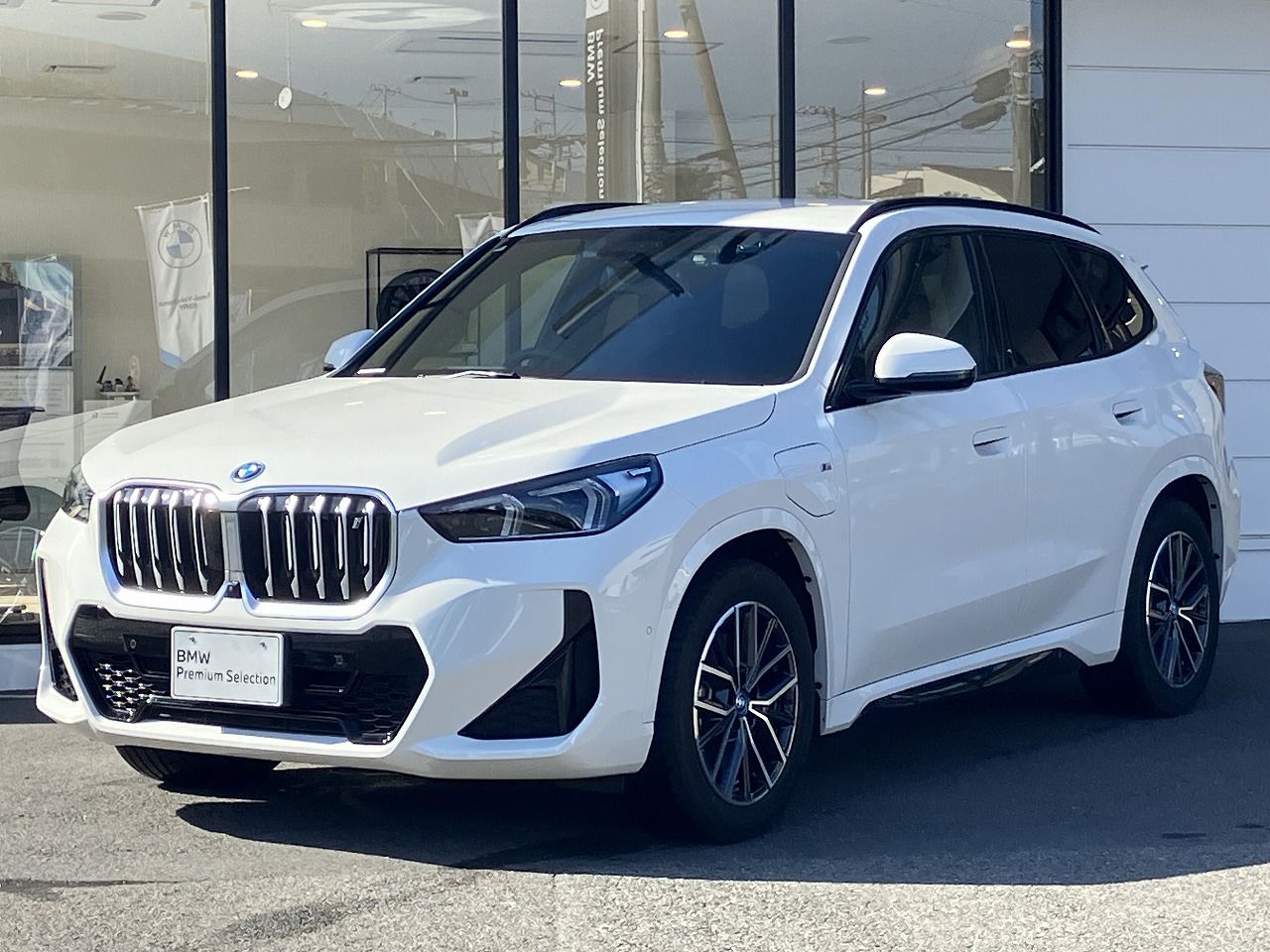 iX1 xDrive30 M Sport