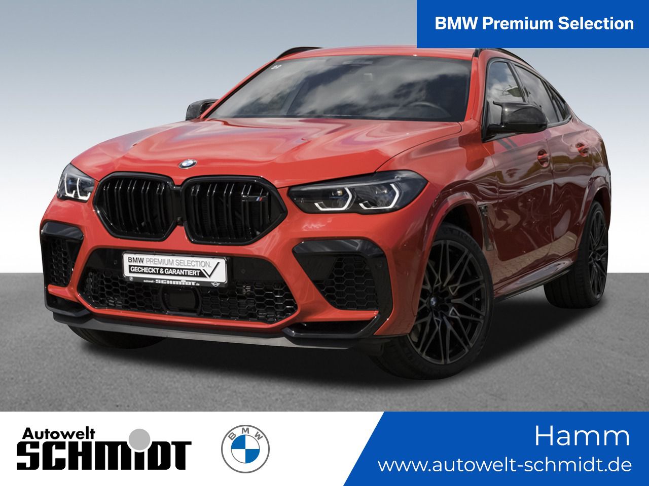 X6 M