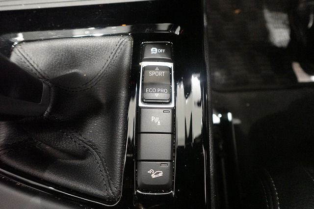 F39 X2 xDrive20i B48 2.0i SAC