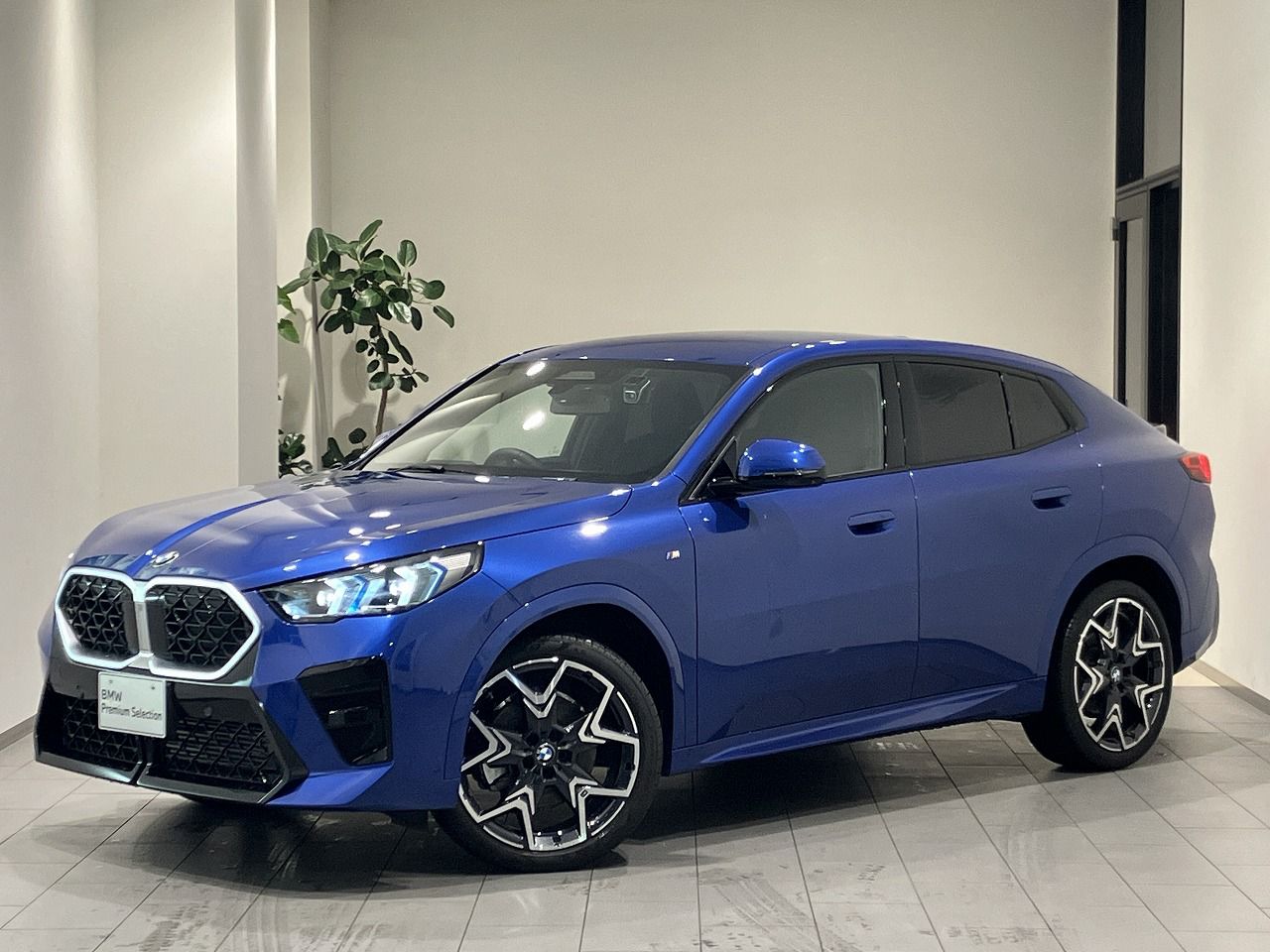 X2 xDrive20i M Sport