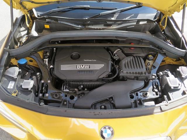 F39 X2 sDrive18i B38 1.5i SAC