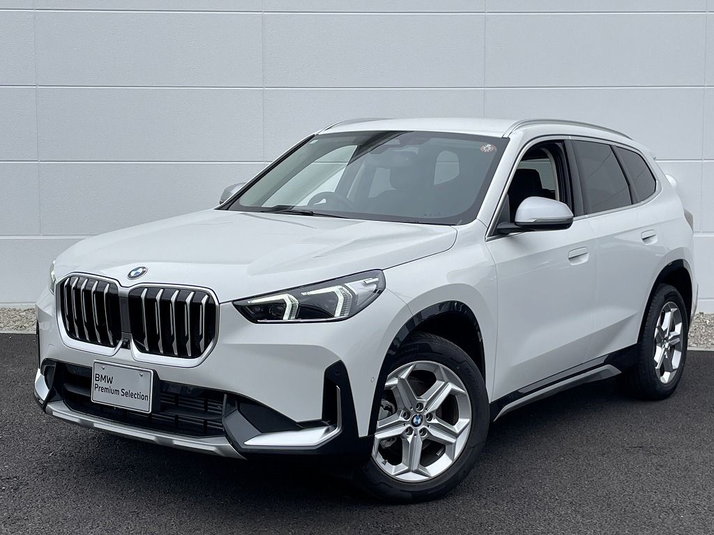 X1 xDrive20i xLine