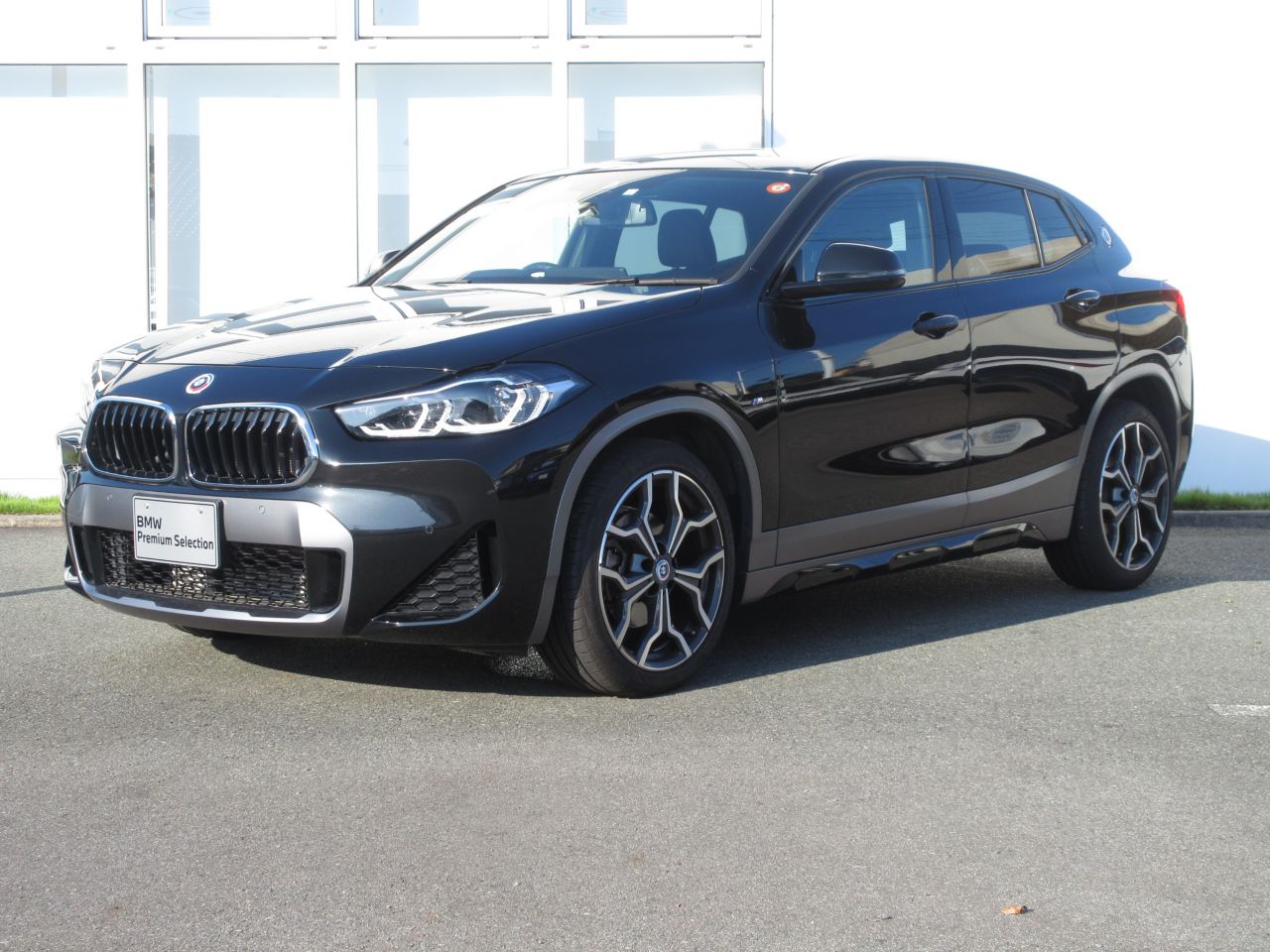 X2 sDrive18i M Sport X