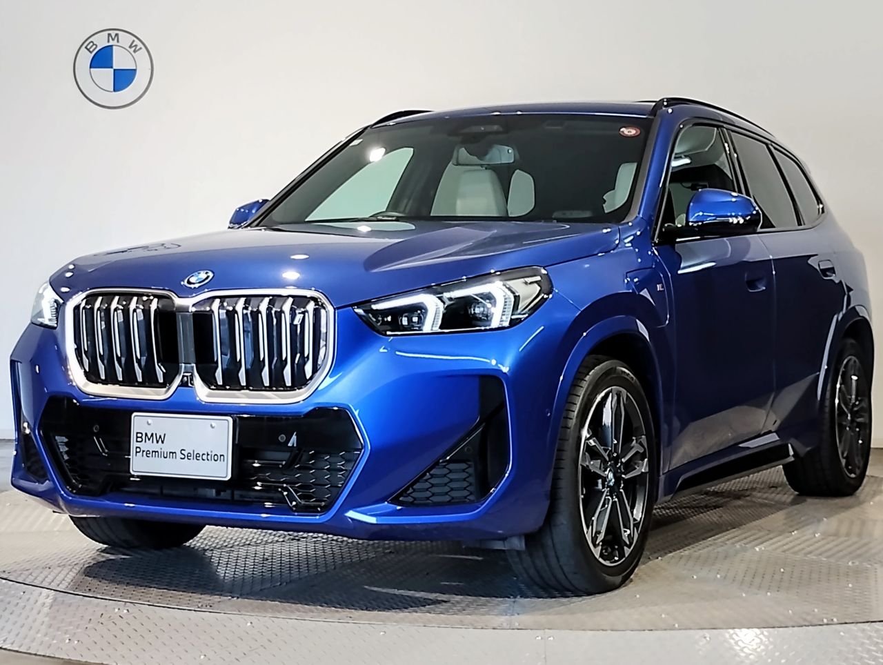 iX1 xDrive30 M Sport