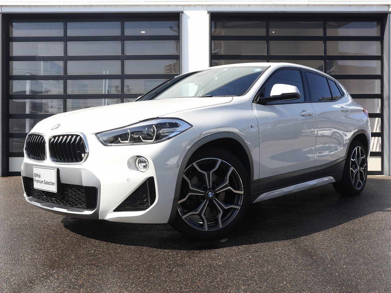 X2 sDrive18i M Sport X