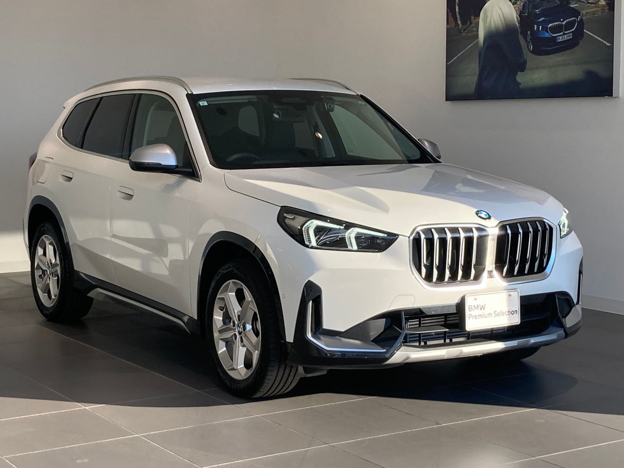 X1 xDrive20i xLine