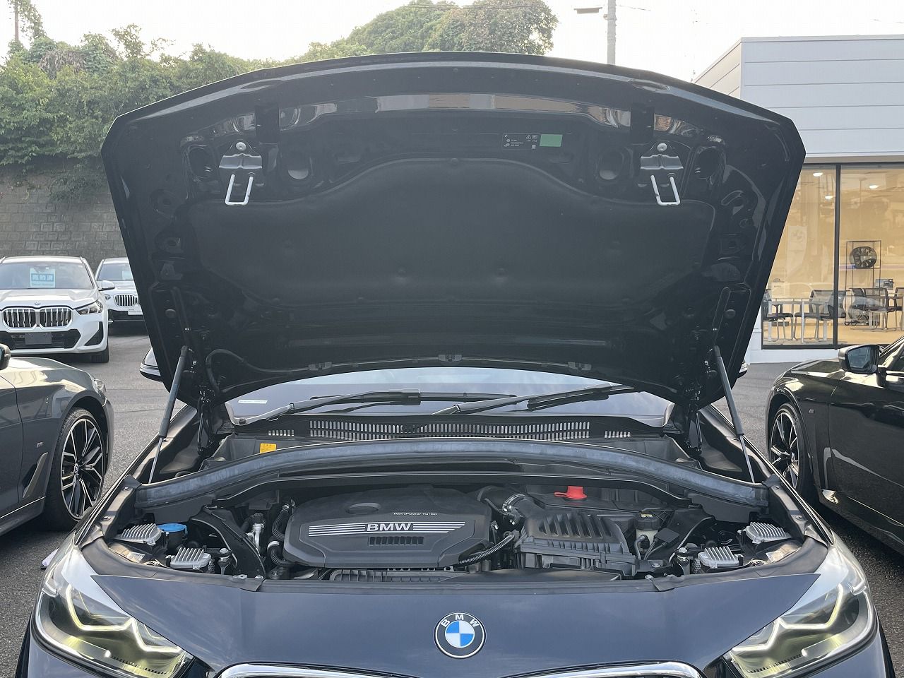 F39 X2 sDrive18i B38 1.5i SAC