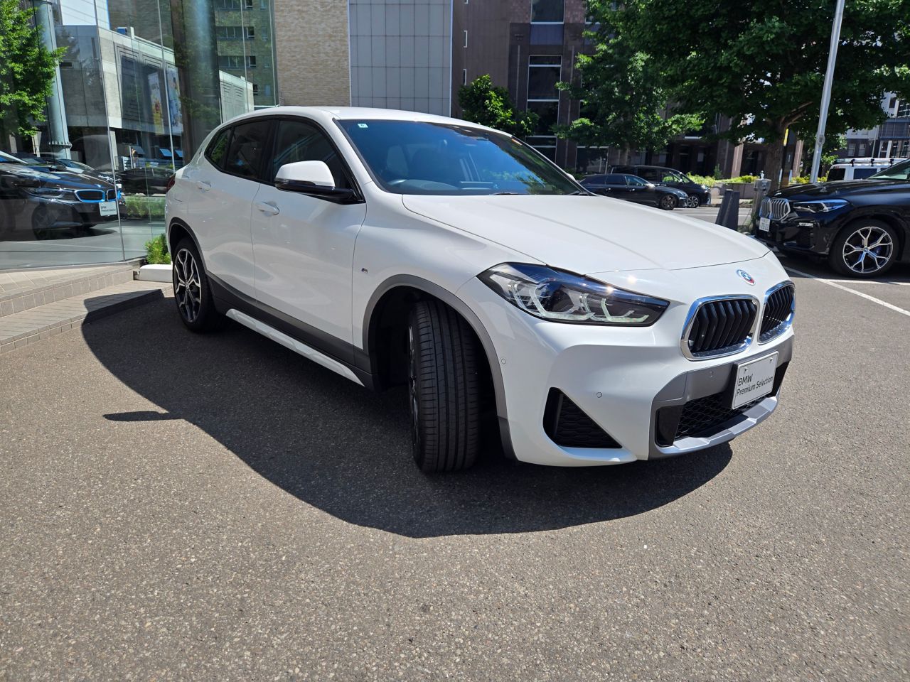 F39 X2 xDrive20d B47 2.0d