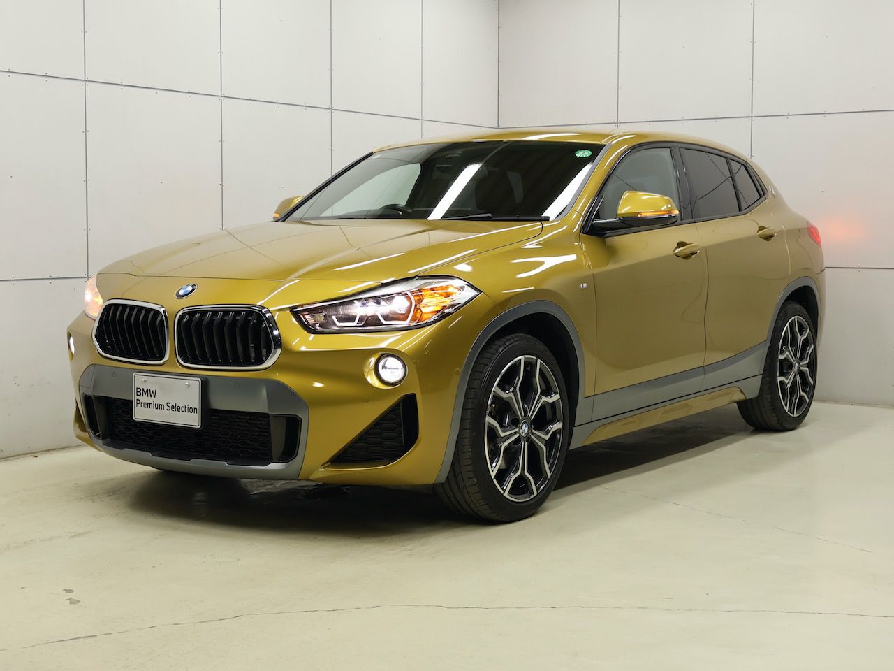 X2 xDrive18d M Sport X
