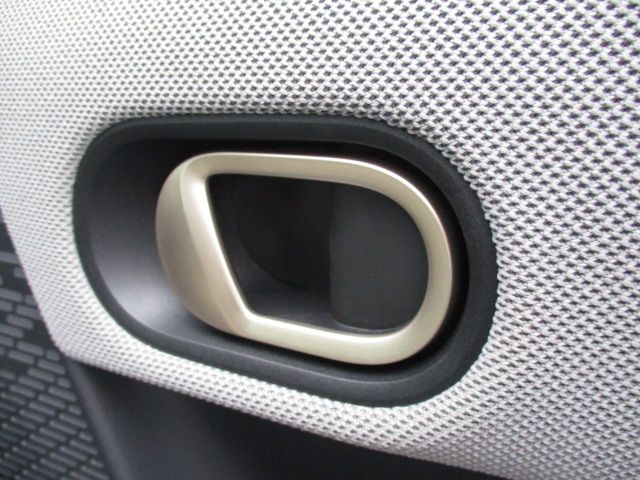 F66 MINI Cooper C 3Dr