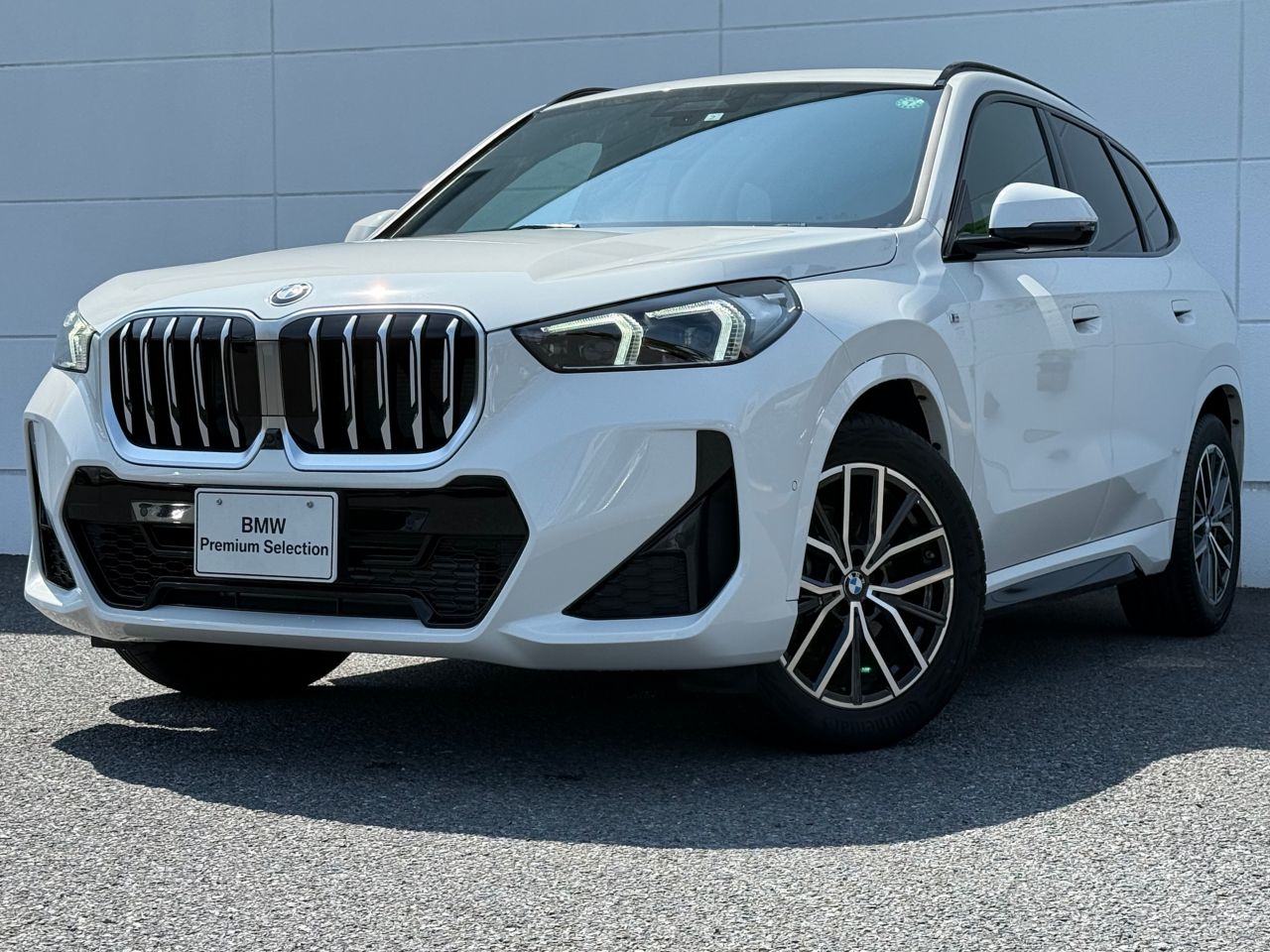 X1 xDrive20i M Sport