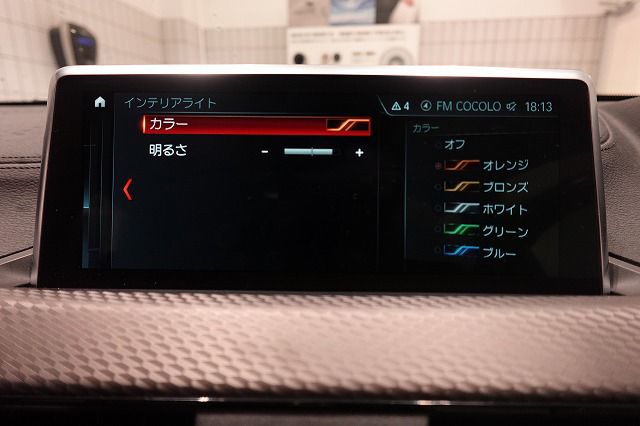 F39 X2 xDrive20i B48 2.0i SAC