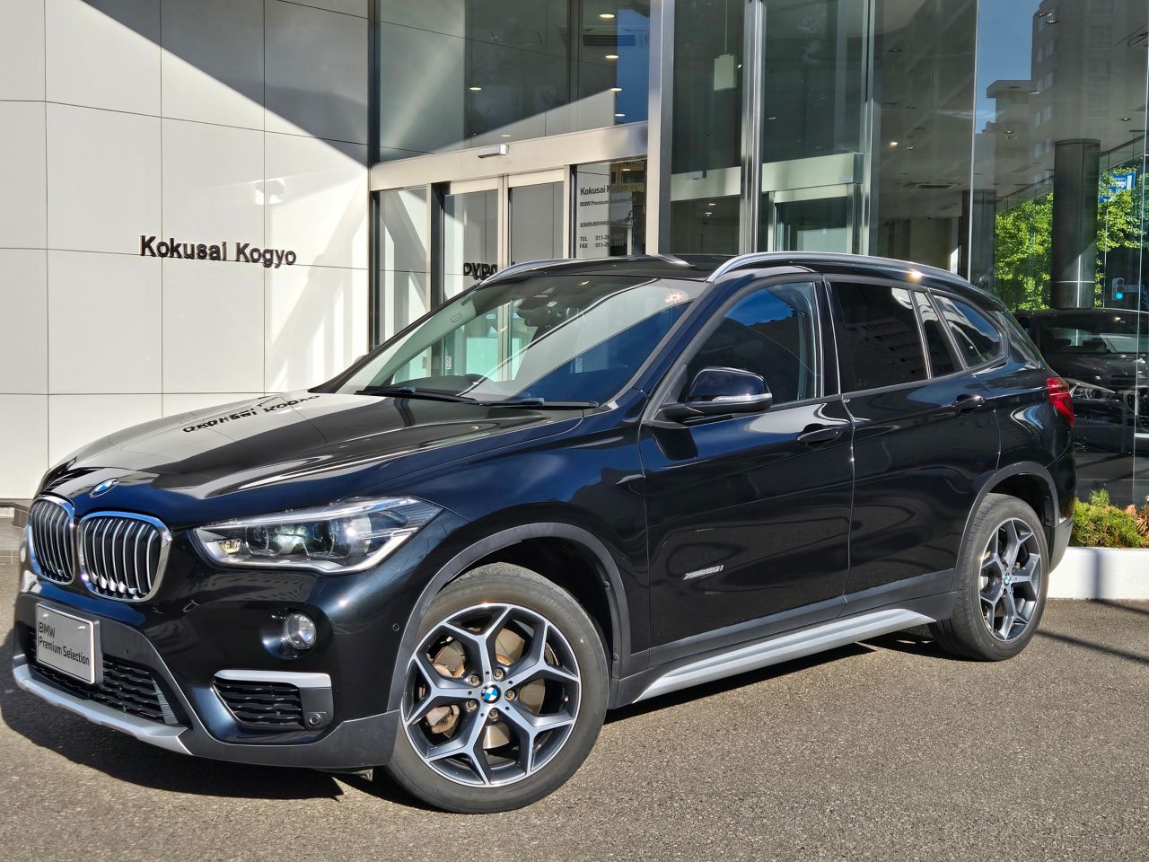 X1 xDrive20i xLine