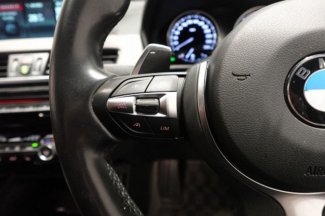 F39 X2 xDrive20i B48 2.0i SAC