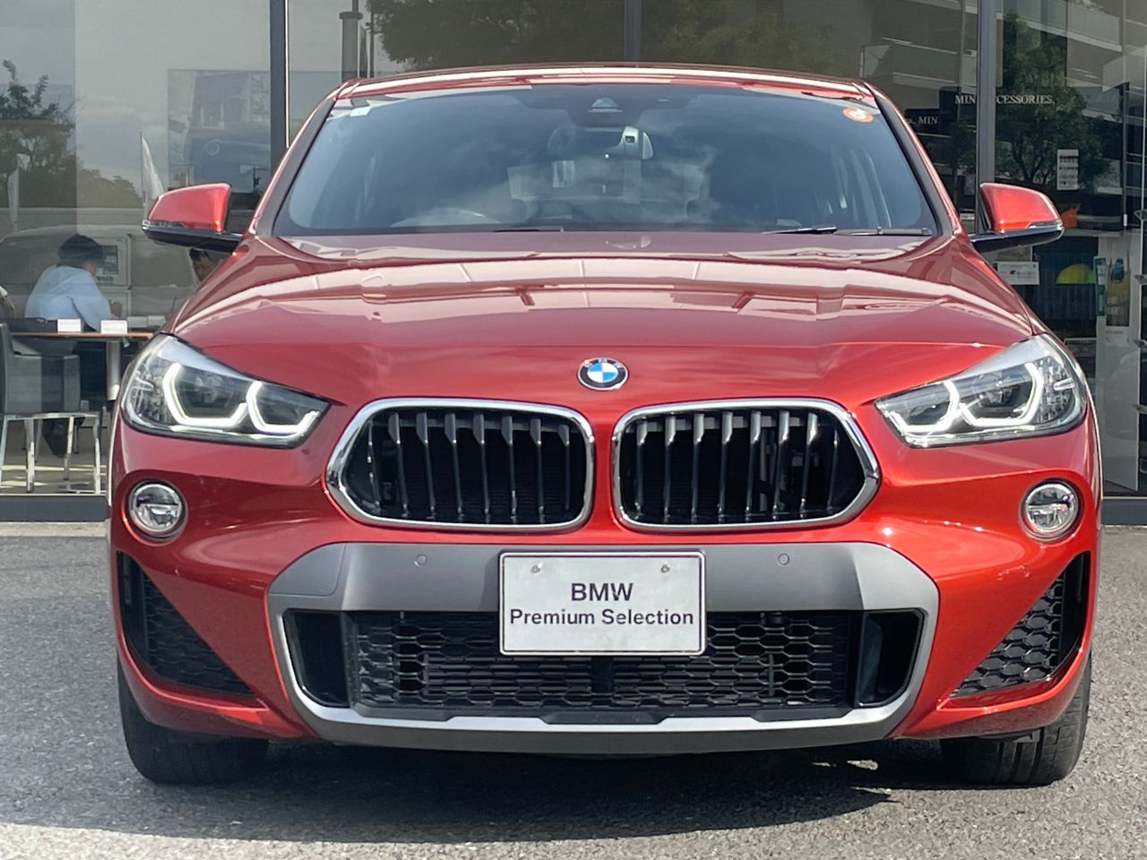 F39 X2 sDrive18i B38 1.5i SAC