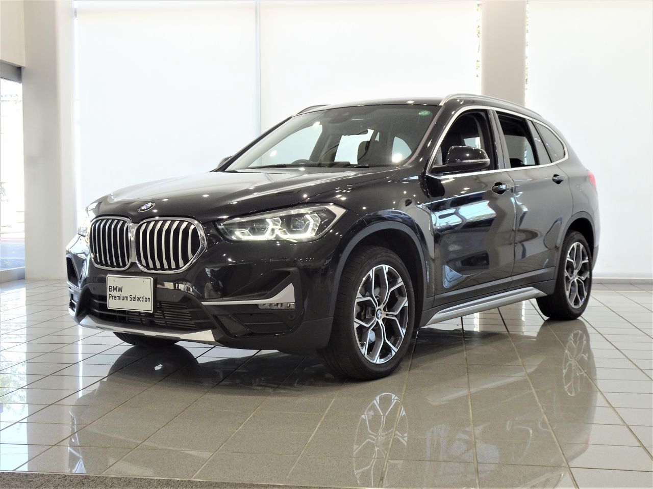 X1 xDrive 18d xLine