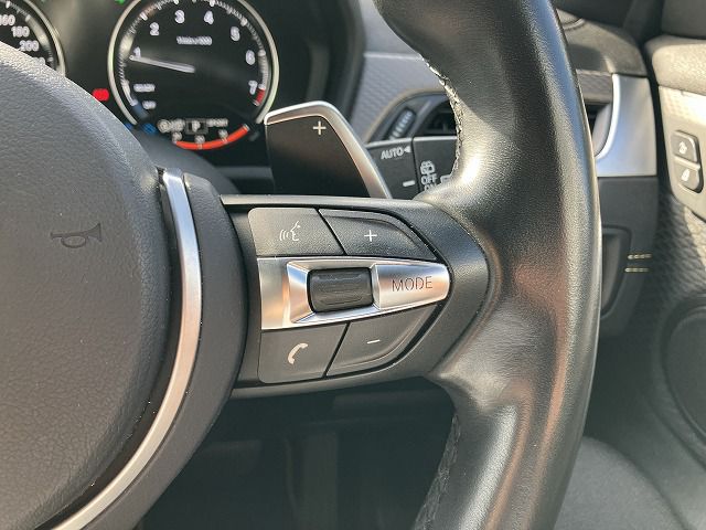 F39 X2 xDrive20i B48 2.0i SAC