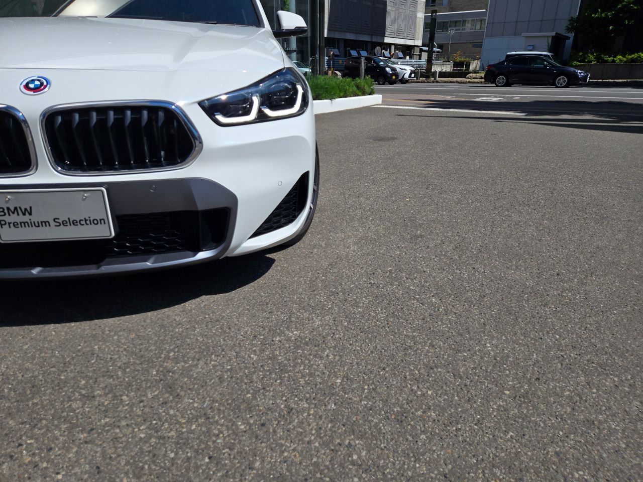 F39 X2 xDrive20d B47 2.0d