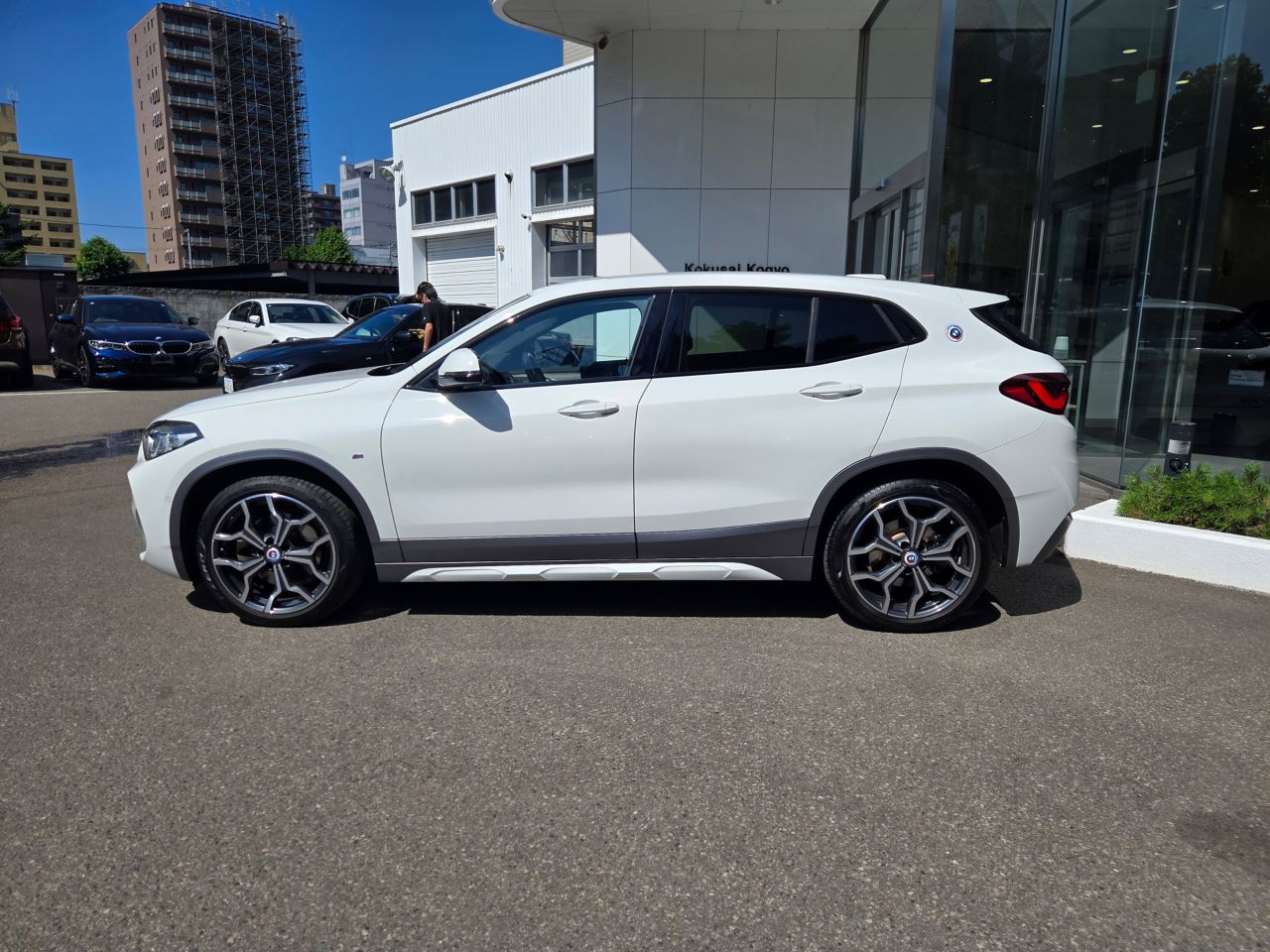 F39 X2 xDrive20d B47 2.0d