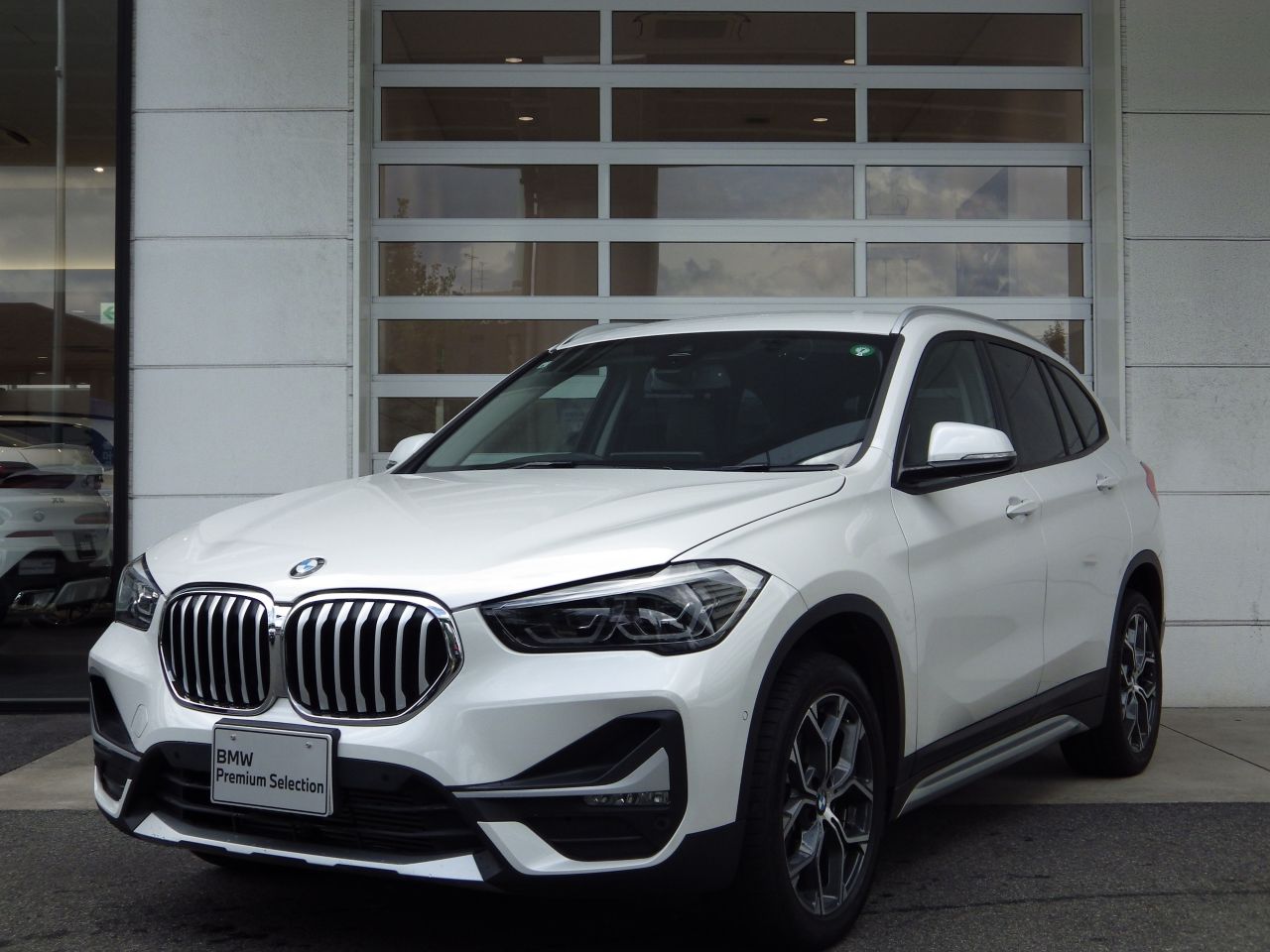 X1 xDrive 18d xLine