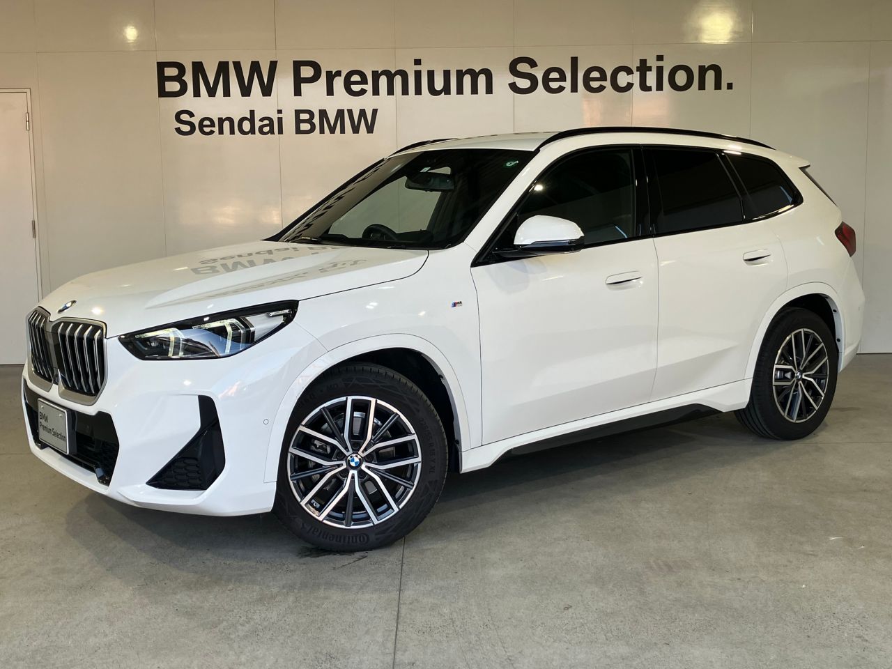 X1 xDrive20i M Sport