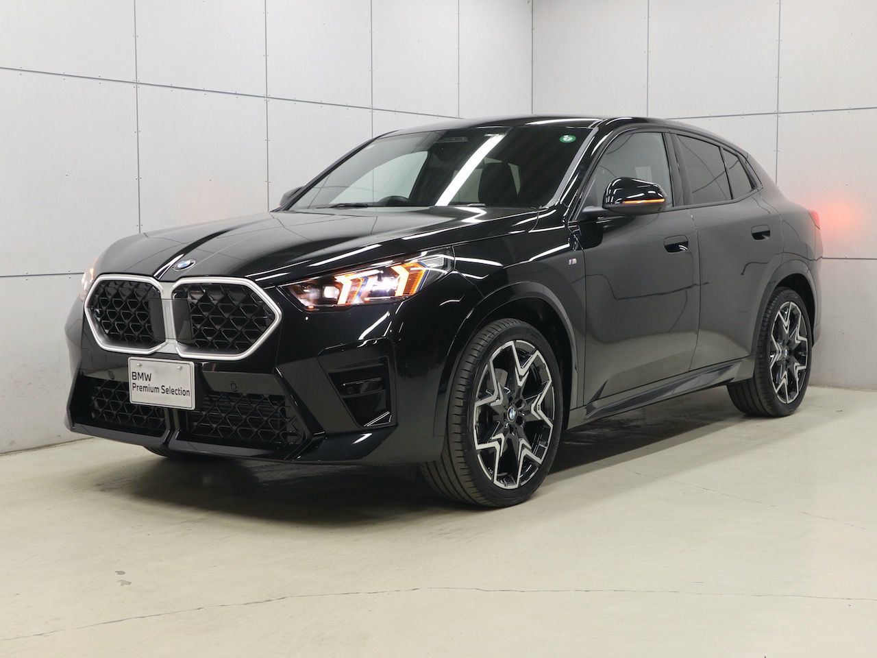 X2 xDrive20i M Sport