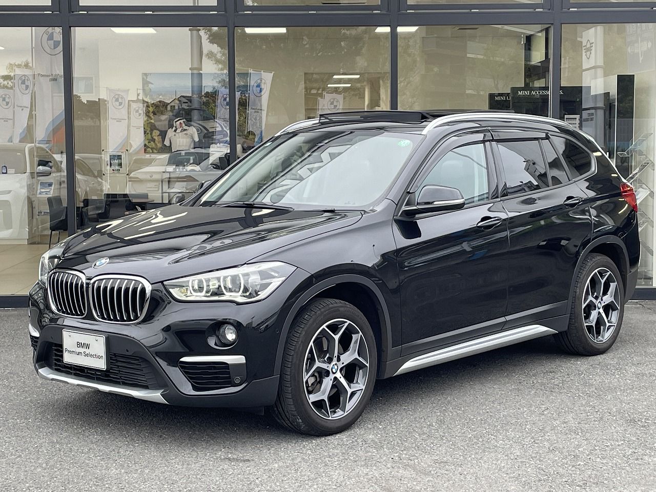 X1 xDrive 18d xLine