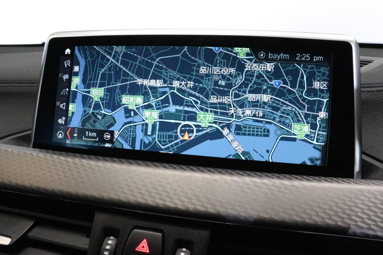 F39 X2 xDrive20i B48 2.0i SAC